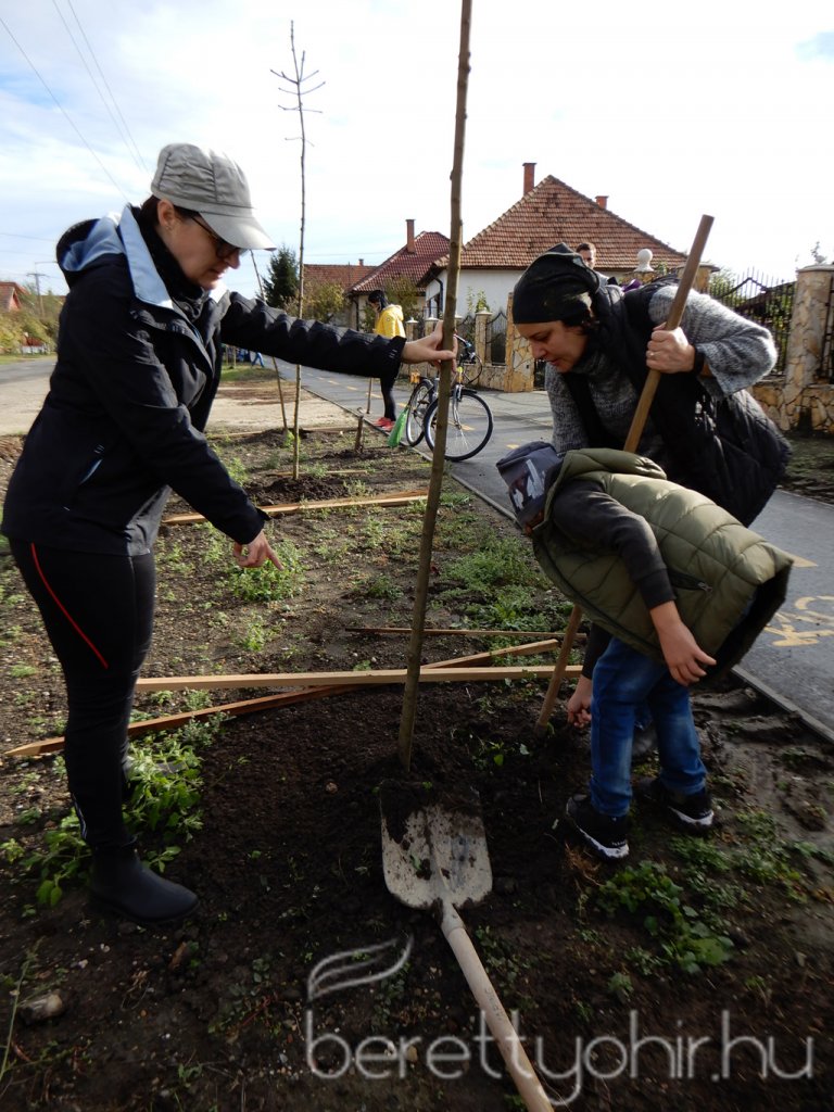 Közösségi faültetés Berettyóújfaluban 29